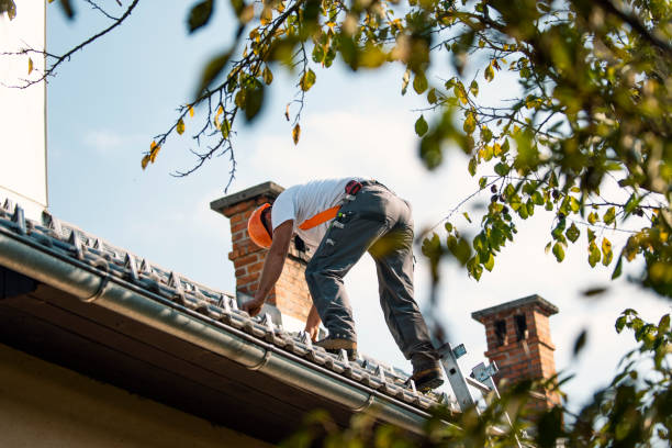 Quick and Trustworthy Emergency Roof Repair Services in Lagrange, OH